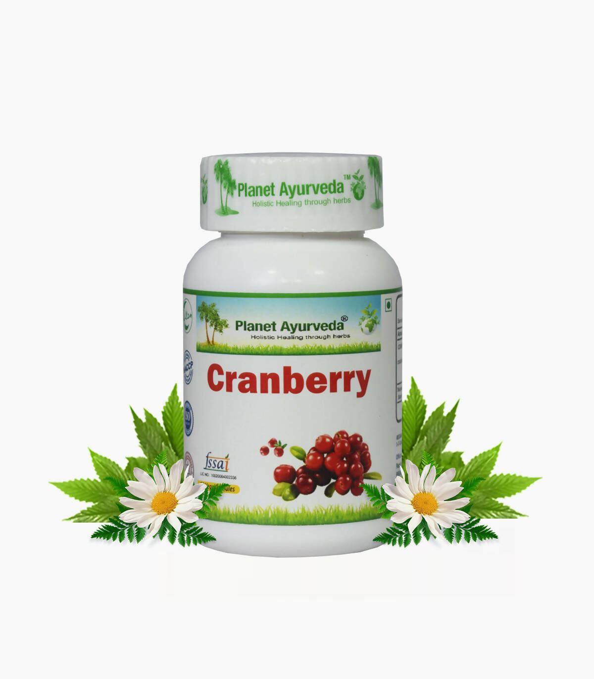 https://cdn.shopify.com/s/files/1/1857/6931/products/wzczQMwCxg.jpg?v=1762350915