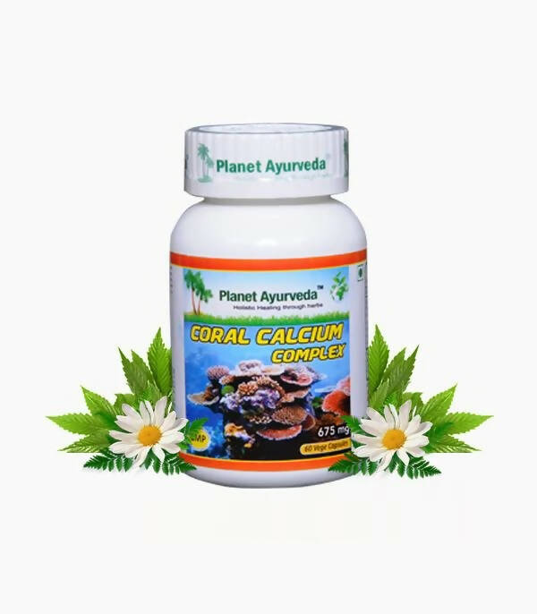 https://cdn.shopify.com/s/files/1/1857/6931/products/xQynDLUQi0.jpg?v=1762350882