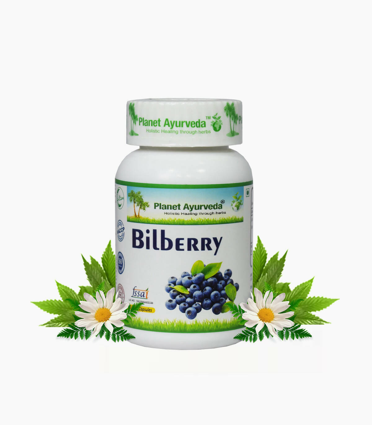 https://cdn.shopify.com/s/files/1/1857/6931/products/xrv4dNVOnI.jpg?v=1762350840