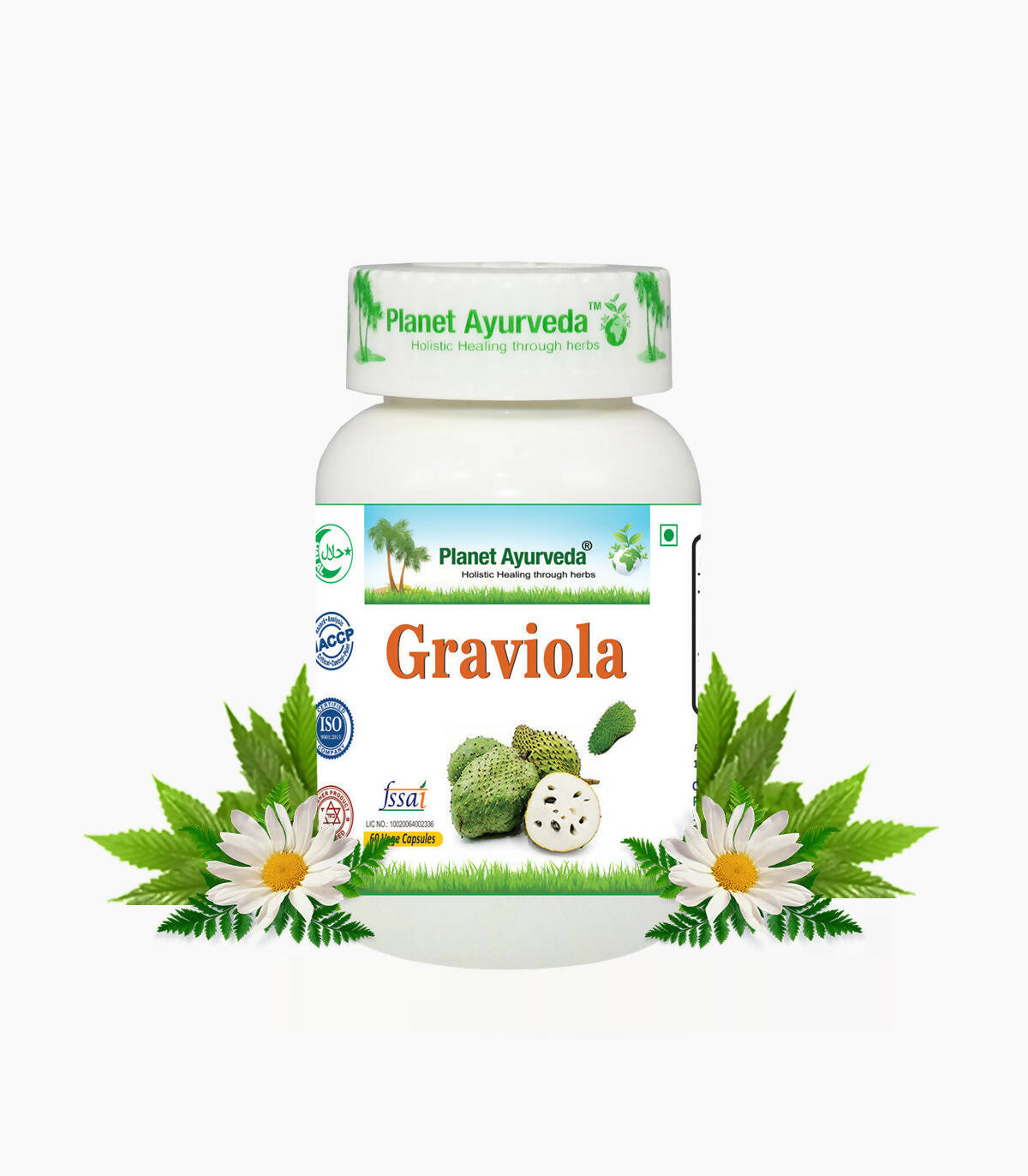 https://cdn.shopify.com/s/files/1/1857/6931/products/ywTx7Oy4S6.jpg?v=1762350903