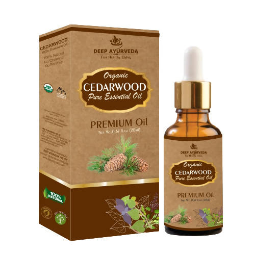 https://cdn.shopify.com/s/files/1/1857/6931/products/z7VcvOgtZa.jpg?v=1762336516