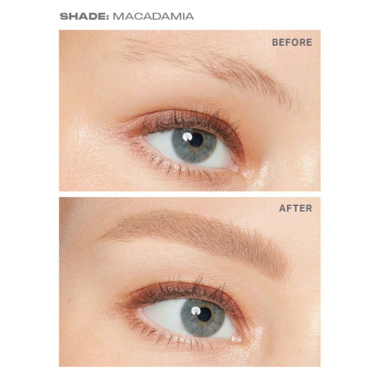 https://cdn.shopify.com/s/files/1/1857/6931/files/0001853192608224138_05.jpg?v=1769755190
