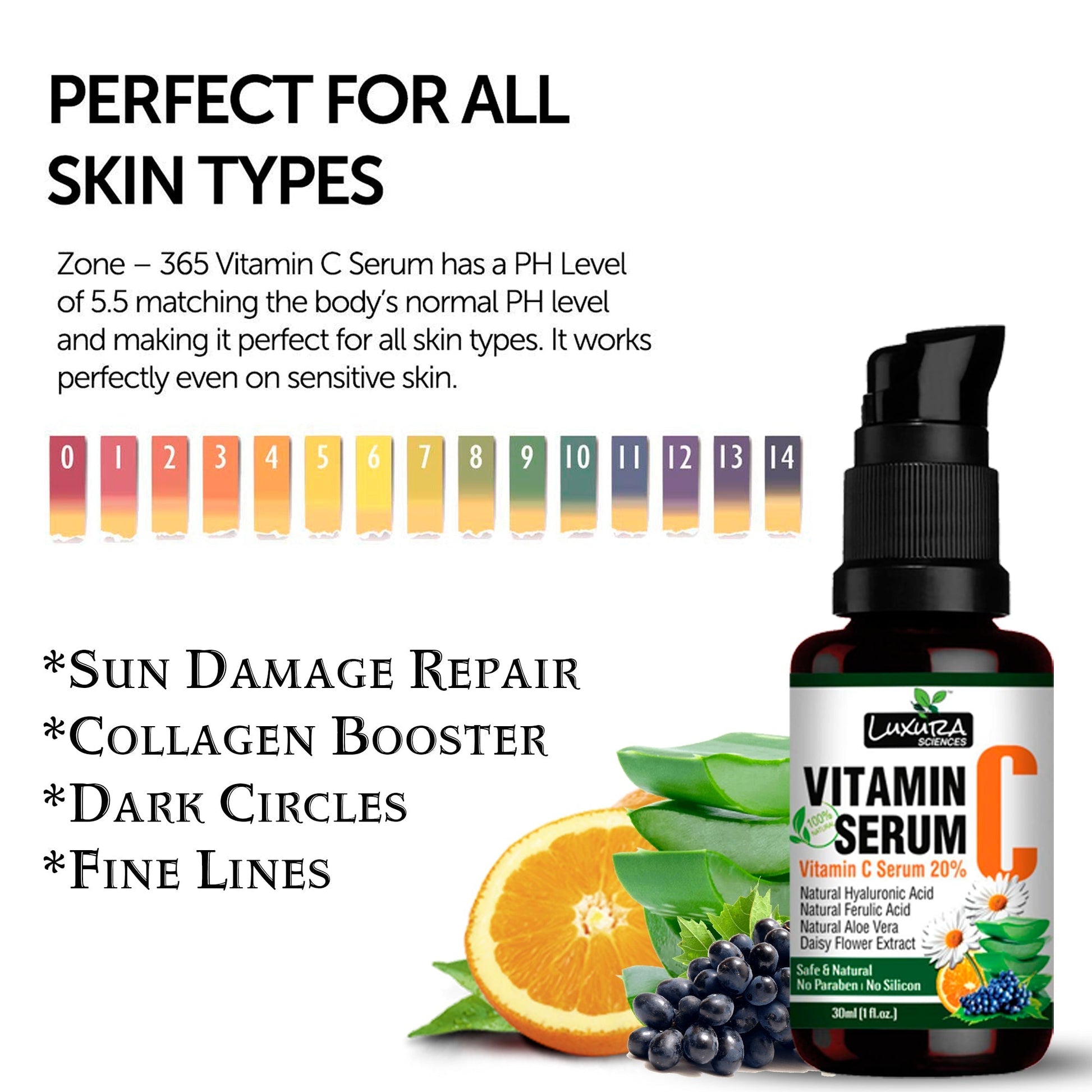 https://cdn.shopify.com/s/files/1/1857/6931/products/002_5fc17009-165f-4b3b-b7d5-9134f5f9c2ec.jpg?v=1672987599