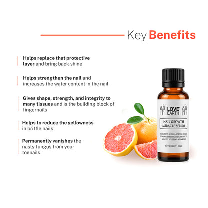 https://cdn.shopify.com/s/files/1/1857/6931/files/003_d9c26d6b-8314-4734-a364-33ad8eb0e850.jpg?v=1786368051