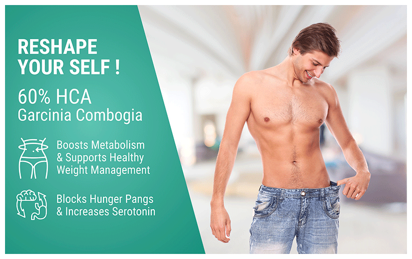 https://cdn.shopify.com/s/files/1/1857/6931/files/004cd373342aa0968bca3c80d23d291bf940e390.png?v=1769512591