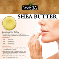https://cdn.shopify.com/s/files/1/1857/6931/products/006.jpg?v=1673264446