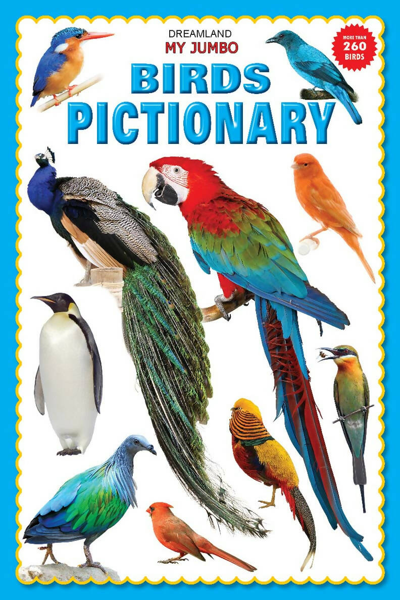 https://cdn.shopify.com/s/files/1/1857/6931/products/00J9PxZ9In.jpg?v=1762345356