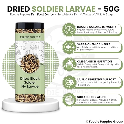 Image 6 of Foodie Puppies Dried Black Soldier Fly Larvae Fish Food