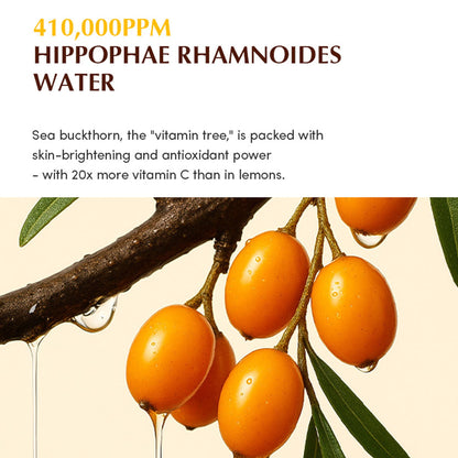 https://cdn.shopify.com/s/files/1/1857/6931/files/024e6c5EQQUA00000011_5.jpg?v=1777271447