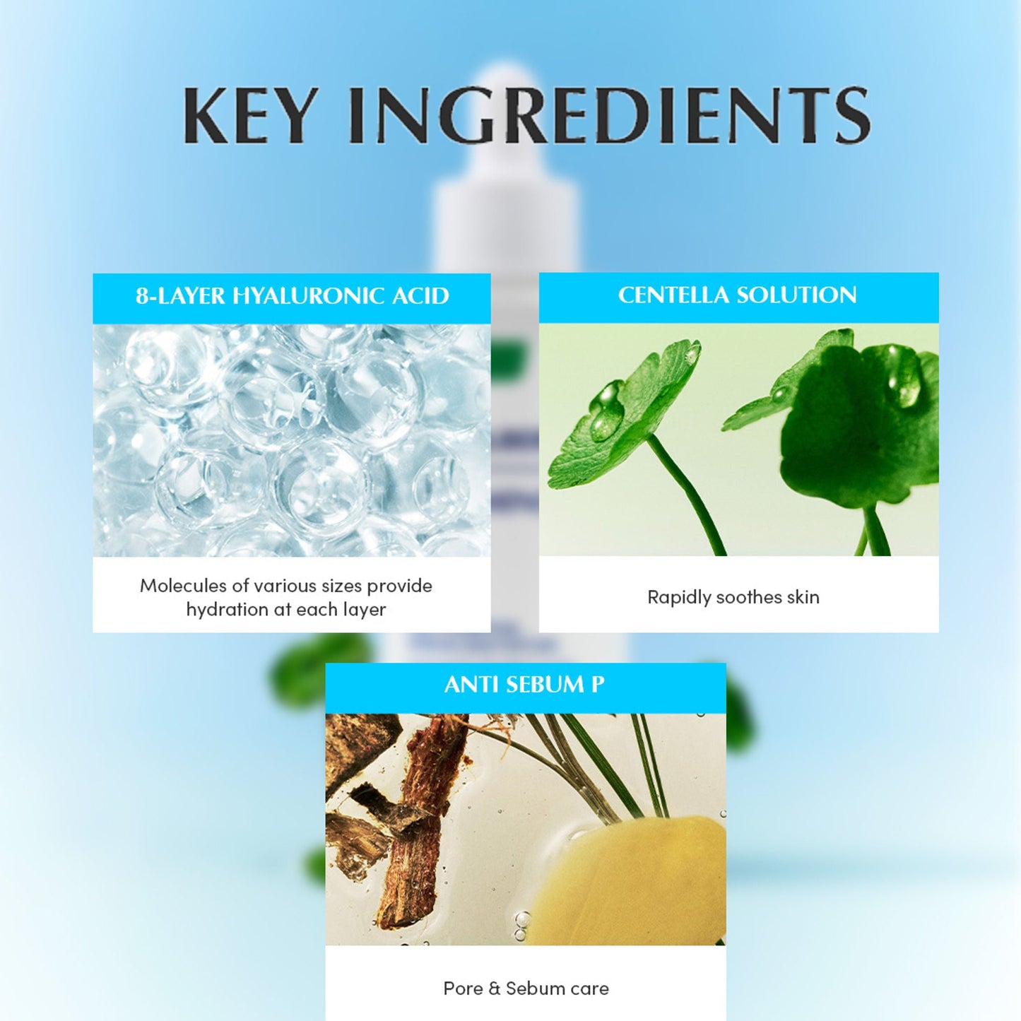 https://cdn.shopify.com/s/files/1/1857/6931/files/024e6c5EQQUA00000017_7.jpg?v=1777271451