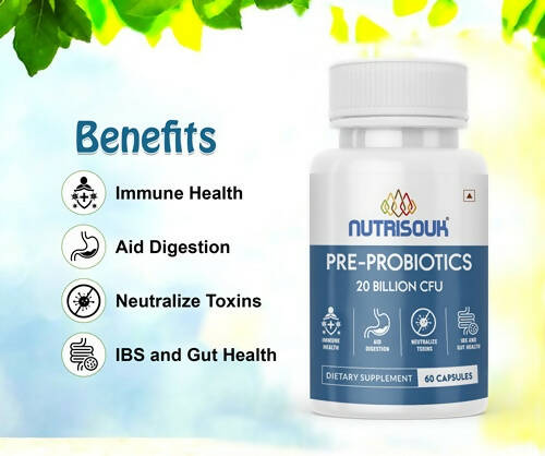 https://cdn.shopify.com/s/files/1/1857/6931/products/02PGmevGL1.jpg?v=1667643496