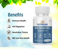 https://cdn.shopify.com/s/files/1/1857/6931/products/02PGmevGL1.jpg?v=1667643496