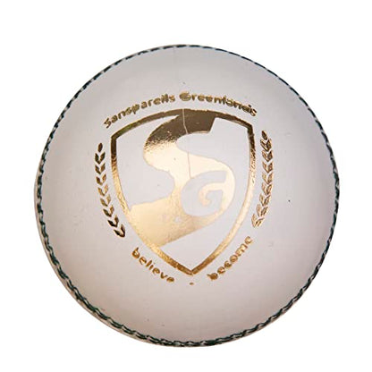 Image 3 of SG Cricket Balls Test (White)