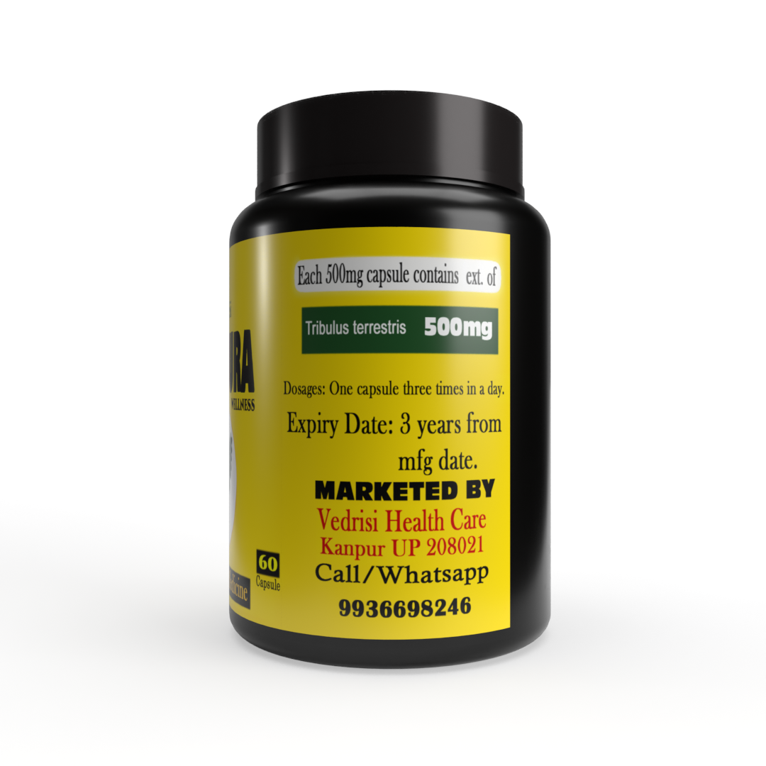 https://cdn.shopify.com/s/files/1/1857/6931/files/03_e110ccb4-1093-4d71-8d34-bd3028397b82.png?v=1709528941