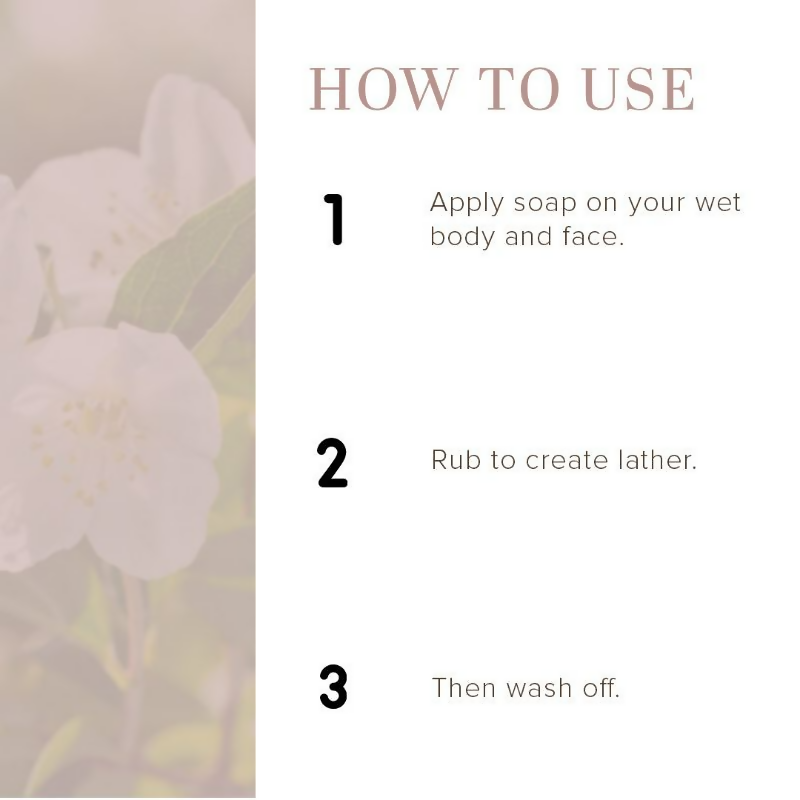 https://cdn.shopify.com/s/files/1/1857/6931/files/047utvycY6.png?v=1744891014