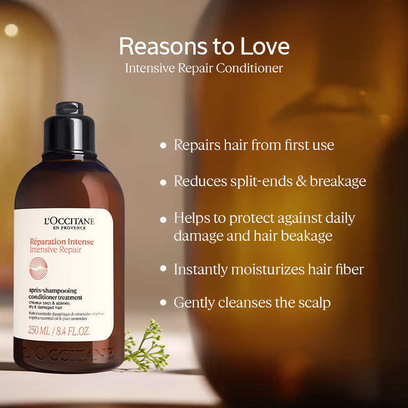 https://cdn.shopify.com/s/files/1/1857/6931/files/056bfb02-b76b-46f4-bf65-21bf8f6a843f.jpg?v=1747373268