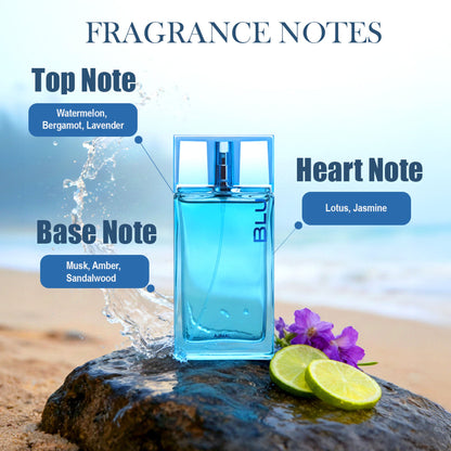 https://cdn.shopify.com/s/files/1/1857/6931/files/07334556293708700455ab_ab4.jpg?v=1779877637