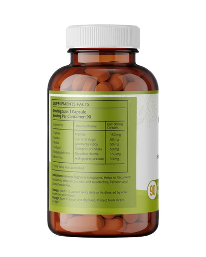 https://cdn.shopify.com/s/files/1/1857/6931/files/08fPVw5cZP-715659.jpg?v=1736150996