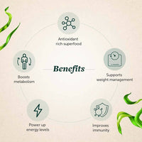 https://cdn.shopify.com/s/files/1/1857/6931/products/0AhyZqun3x.jpg?v=1697694492