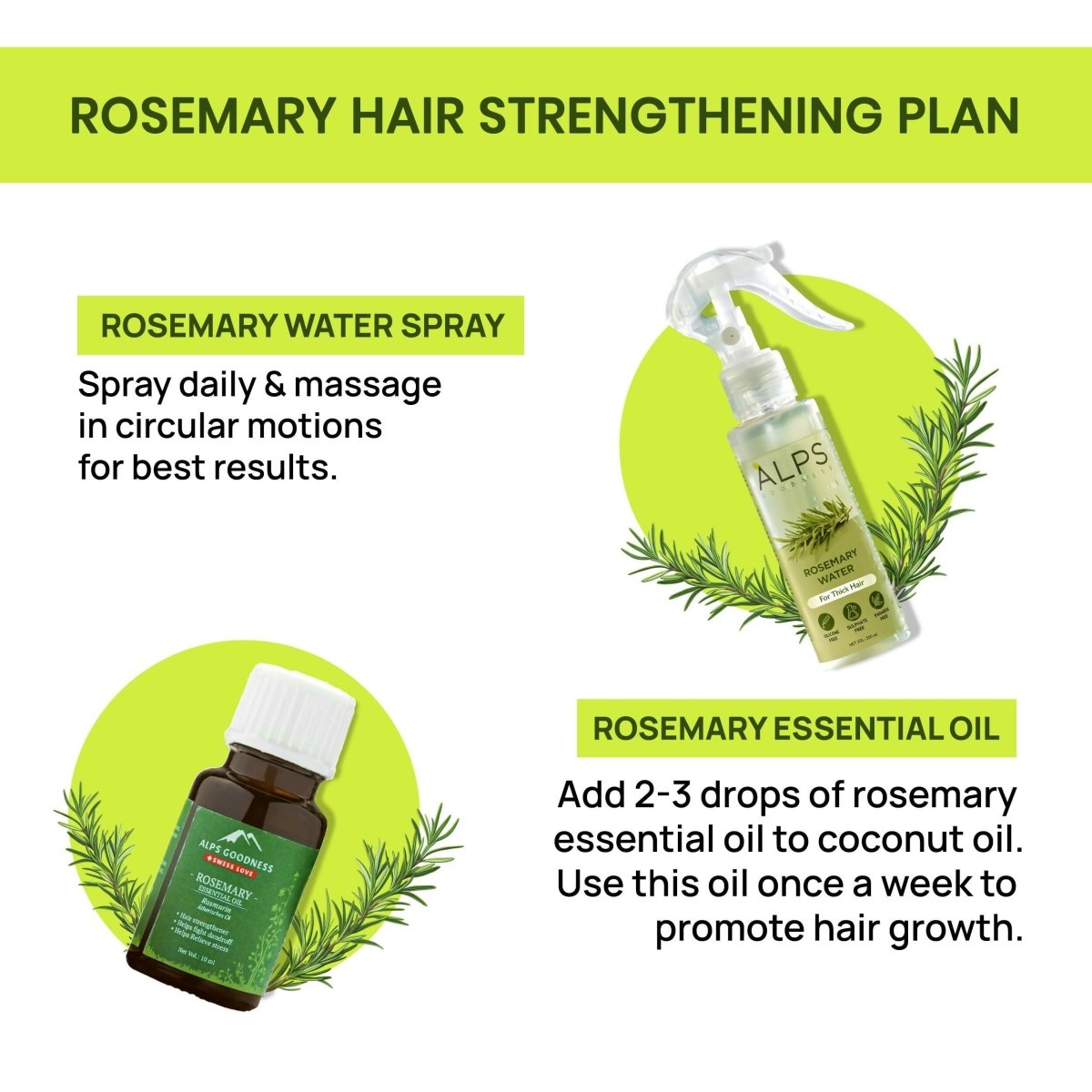 https://cdn.shopify.com/s/files/1/1857/6931/files/0BbdsEB0TF-247052.jpg?v=1736146743