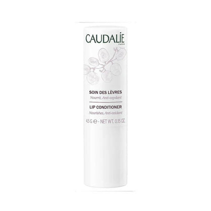 https://cdn.shopify.com/s/files/1/1857/6931/products/0CCa7XSP5C.jpg?v=1762343213