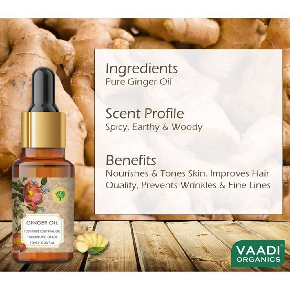 https://cdn.shopify.com/s/files/1/1857/6931/products/0MWTtr4gnW.jpg?v=1617935369