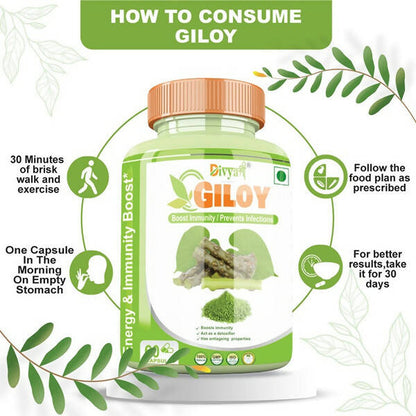 https://cdn.shopify.com/s/files/1/1857/6931/products/0NzEAYPOjh.jpg?v=1672210646