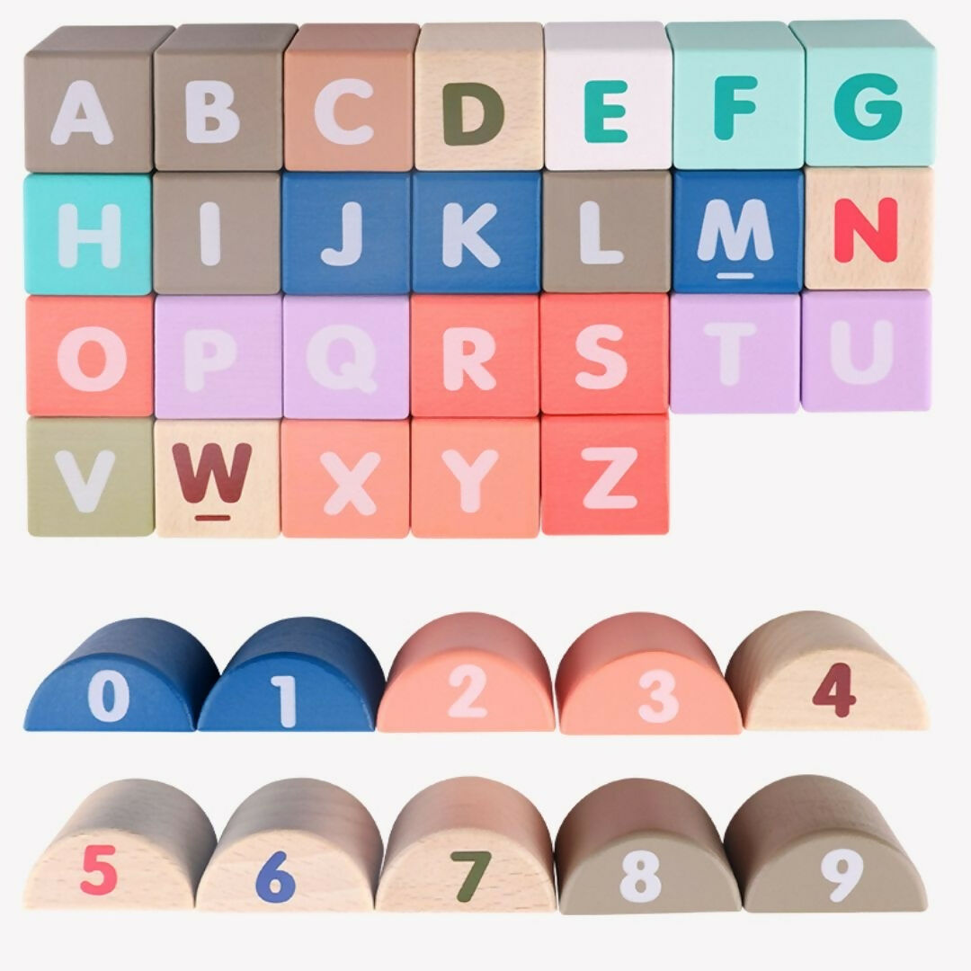 https://cdn.shopify.com/s/files/1/1857/6931/files/0OblZ9B6N5.jpg?v=1740809592