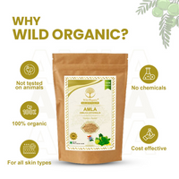 https://cdn.shopify.com/s/files/1/1857/6931/files/0OuxeorFwK.png?v=1729769510