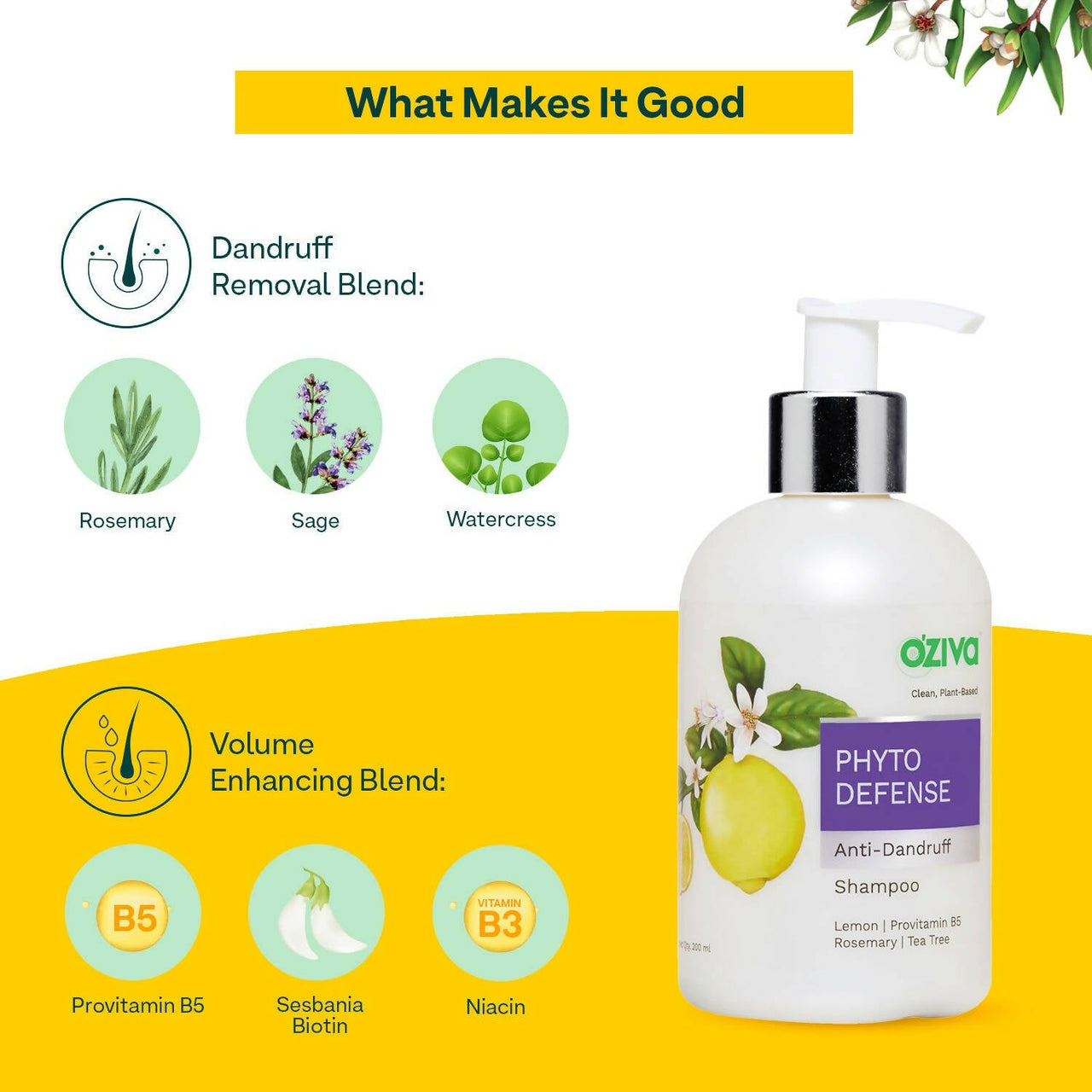 https://cdn.shopify.com/s/files/1/1857/6931/products/0PL83GMsAS.jpg?v=1695295178
