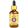 https://cdn.shopify.com/s/files/1/1857/6931/products/0QeaSRJsWB.jpg?v=1762382461