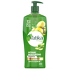 https://cdn.shopify.com/s/files/1/1857/6931/products/0R8qXgq04q.png?v=1698668649