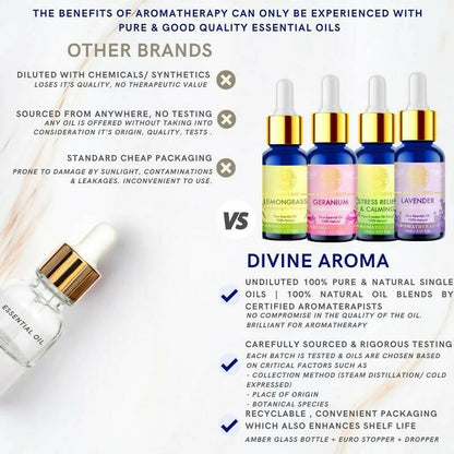 https://cdn.shopify.com/s/files/1/1857/6931/products/0SRkjHUm6v.jpg?v=1668663606