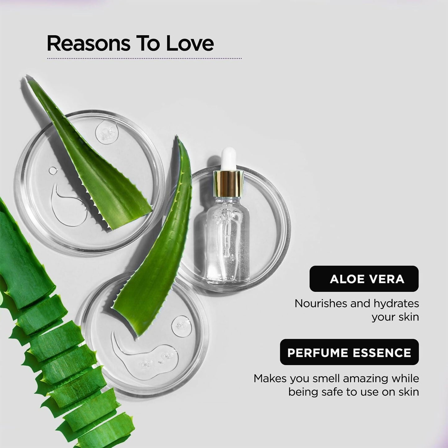 https://cdn.shopify.com/s/files/1/1857/6931/files/0V2u2VCuIi.jpg?v=1723098806