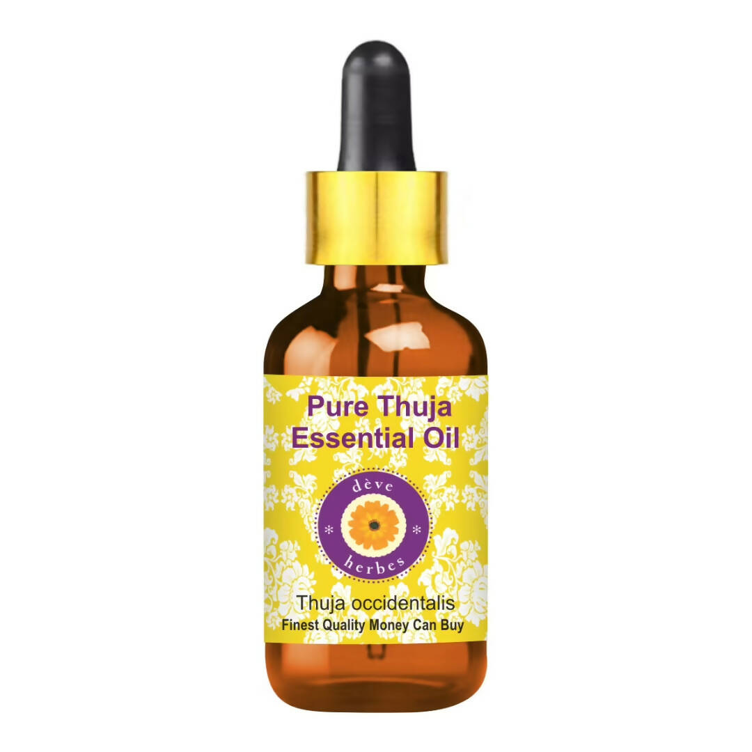 https://cdn.shopify.com/s/files/1/1857/6931/products/0VIn09AKyx.jpg?v=1762383100