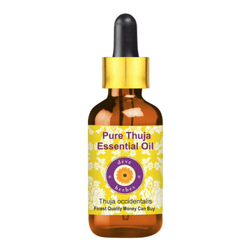 https://cdn.shopify.com/s/files/1/1857/6931/products/0VIn09AKyx.jpg?v=1762383100