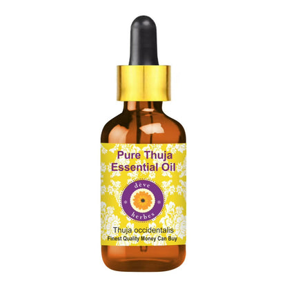 https://cdn.shopify.com/s/files/1/1857/6931/products/0VIn09AKyx.jpg?v=1762383100