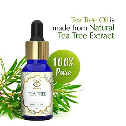 https://cdn.shopify.com/s/files/1/1857/6931/products/0VTrBJjHU4.jpg?v=1671800615