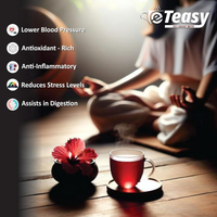 https://cdn.shopify.com/s/files/1/1857/6931/files/0ZUDA1Mkn4.png?v=1754644989