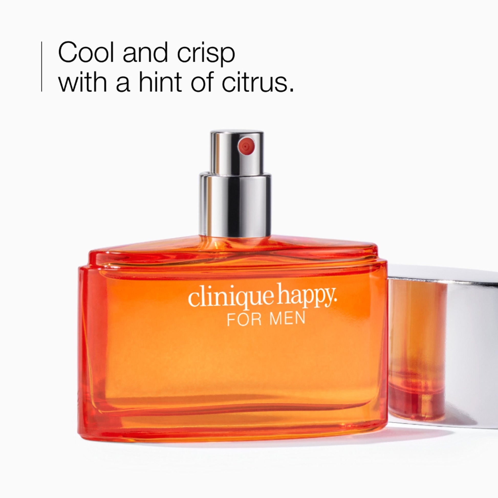 https://cdn.shopify.com/s/files/1/1857/6931/files/0afdafe20714080303_3.jpg?v=1770297135