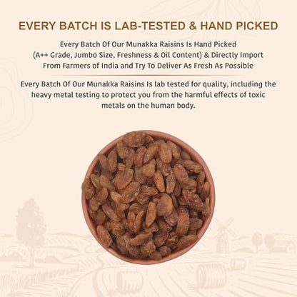 Image 3 of NUTTY ORGANICS Munaka Raisins 1000 GM