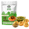 Image 1 of 250 g (Pack of 1) for the product SAATYAKI NATURALS PaniPuri Masala
