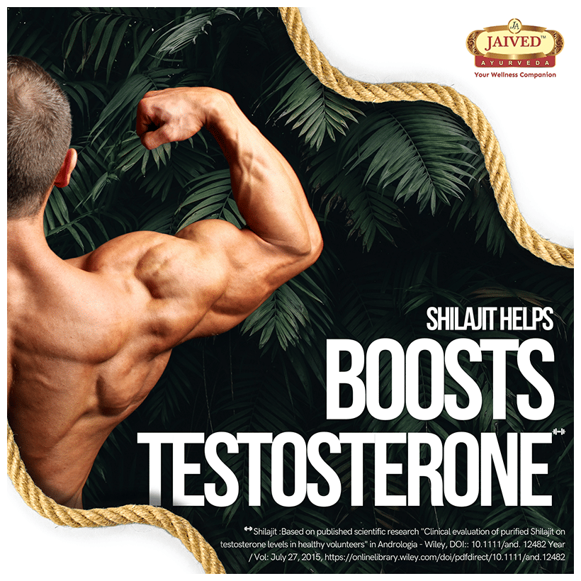 https://cdn.shopify.com/s/files/1/1857/6931/files/0d6afbc2c25c4cebabccf800a8f07bb6.png?v=1765799722