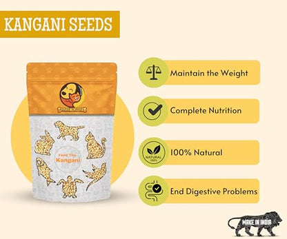 Image 5 of Foodie Puppies Foxtail Millet Kangni Seeds Bird Food - 2Kg Pouch