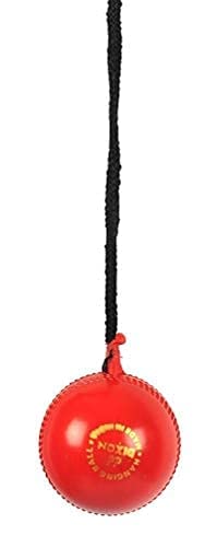 Image 6 of SG Synthetic I Ball with Cord Cricket Hanging Ball 159g