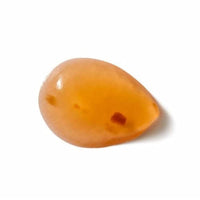 https://cdn.shopify.com/s/files/1/1857/6931/products/0f8NqgsP2Y.jpg?v=1624726536