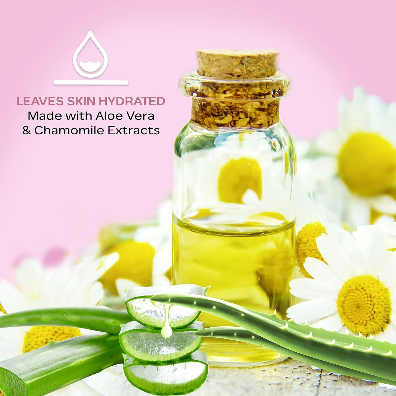 https://cdn.shopify.com/s/files/1/1857/6931/files/0h8xvQnvs9.png?v=1756902512
