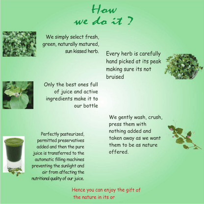 https://cdn.shopify.com/s/files/1/1857/6931/files/0hKQwA1avy-366570.png?v=1736150826