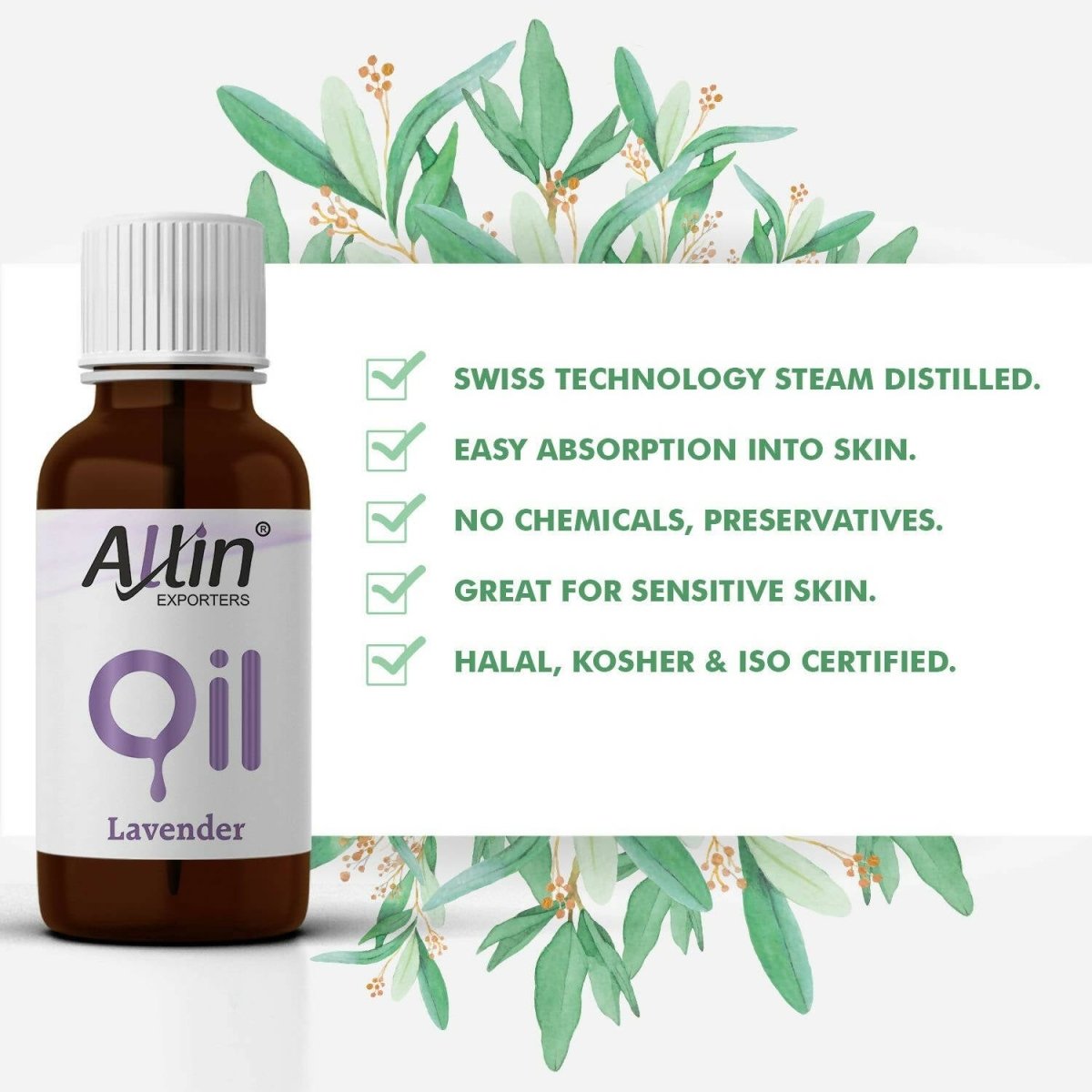 https://cdn.shopify.com/s/files/1/1857/6931/files/0k3OIKxHtG-437080.jpg?v=1736146563