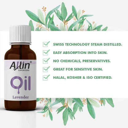 https://cdn.shopify.com/s/files/1/1857/6931/files/0k3OIKxHtG-437080.jpg?v=1736146563